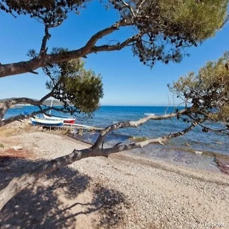 Le Miramar Διαμέρισμα *