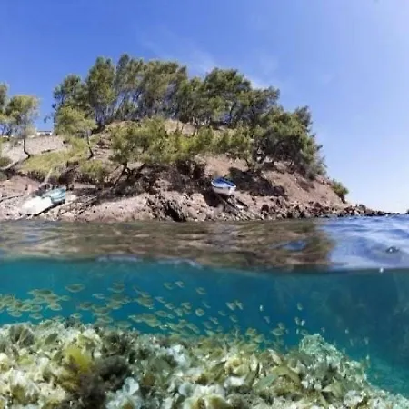 Le Miramar * Six-Fours-les-Plages